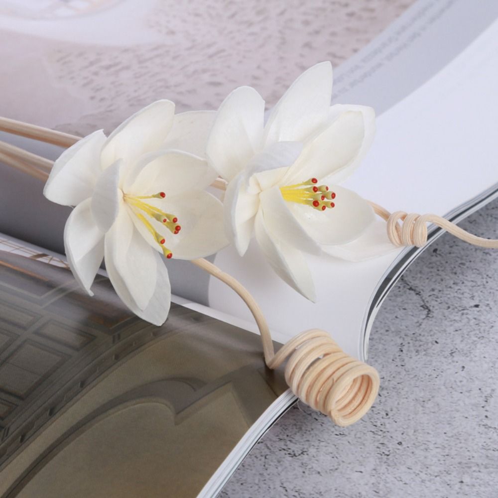 Home Fragrance Natural - Bâtonnets diffuseurs d'encens Tongcao multi-usages de