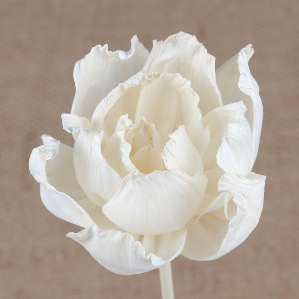 Bâtonnets diffuseurs d'encens  - Home Fragrance Natural avis et prix